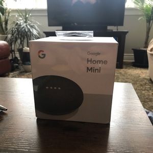 Charcoal google home mini